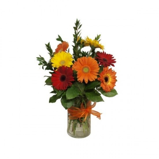 Sun's Delight arrangement